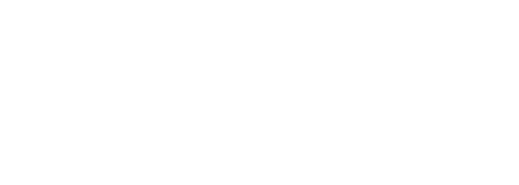 apanews logo footer