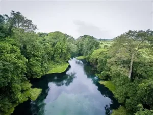 Bassin du Congo : la société civile réclame des actes