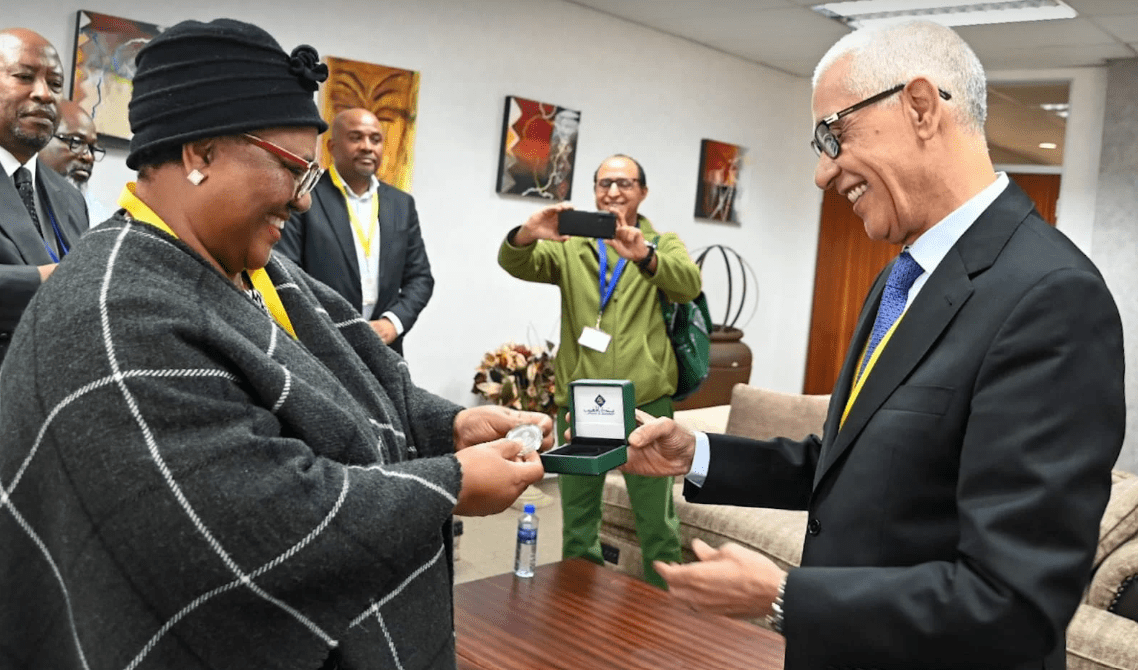 Strengthening parliamentary ties between Morocco and South Africa | APAnews