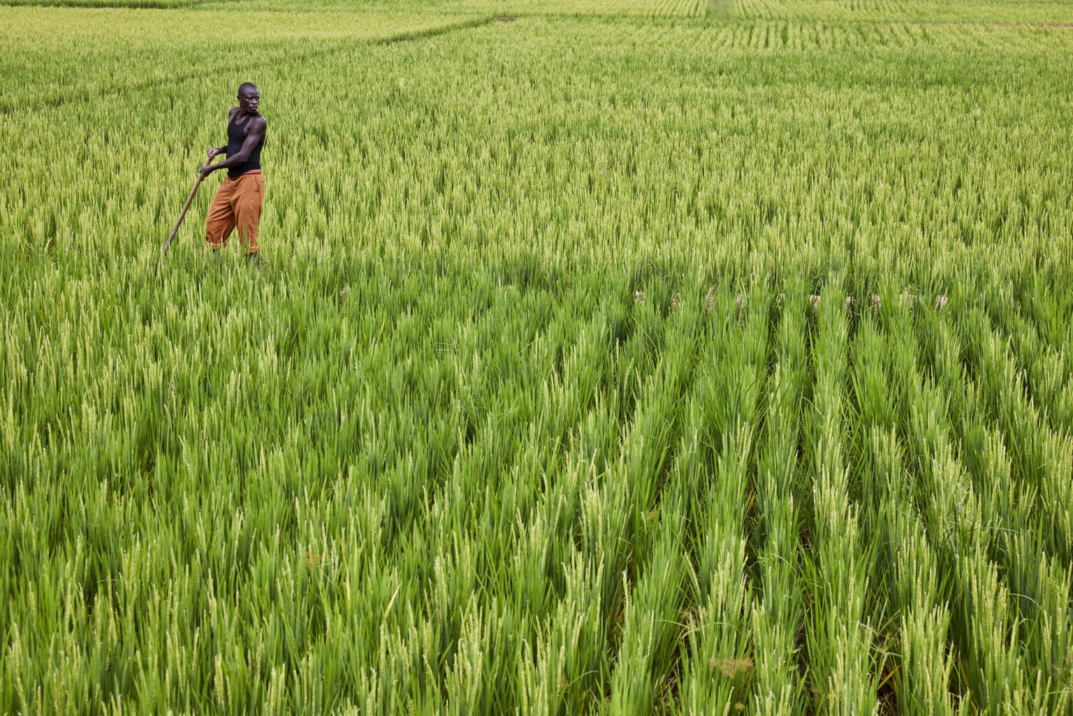 Burundi-Rwanda: plus de 320 millions $ de la Bad pour des projets