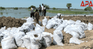 Tchad : la crue de fleuves menace des quartiers de N'Djamena