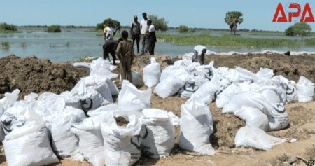 Tchad : la crue de fleuves menace des quartiers de N'Djamena