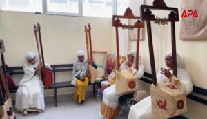 La musique ancestrale du begena comme « médecine de l’âme »