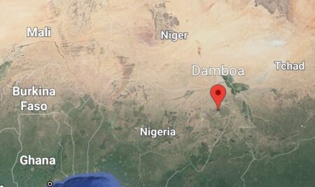 Deux soldats nigérians tués par un EEI dans le nord-est du pays