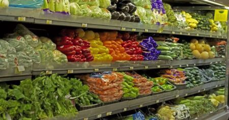 UE-Maroc : échanges records en 2024, portés par l’agriculture