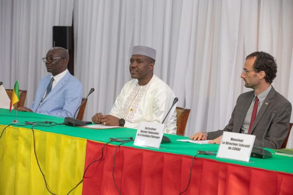 Mali/PN-SRI : une stratégie régionale d’autosuffisance en riz