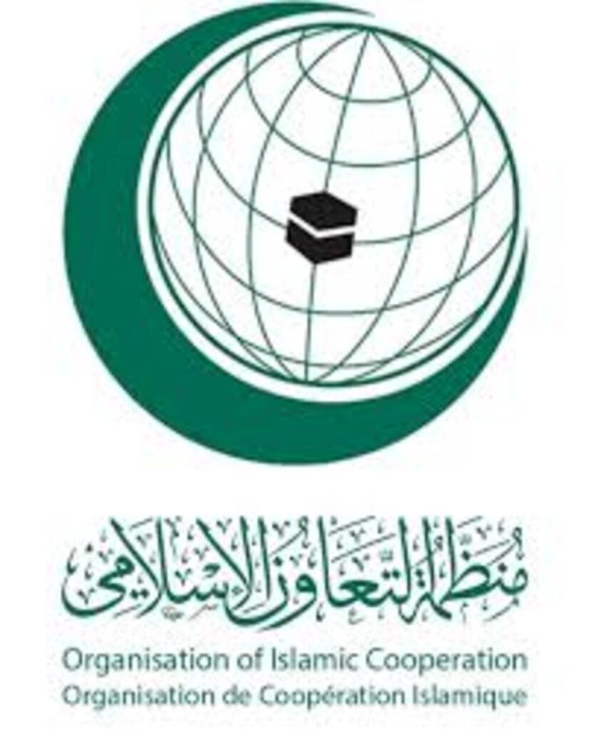 OCI 2025 : tensions parlementaires entre Bamako et Alger