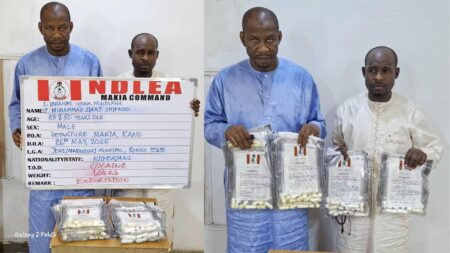 Nigéria : la NDLEA démantèle un réseau de drogue lié au Hadj