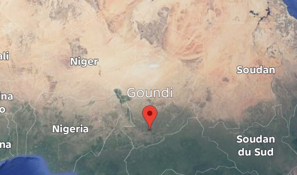 Tchad : un père tue ses 5 enfants avant de se suicider à Goundi