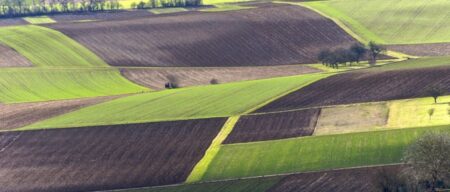 Algérie: un nouveau dispositif numérique pour le foncier agricole