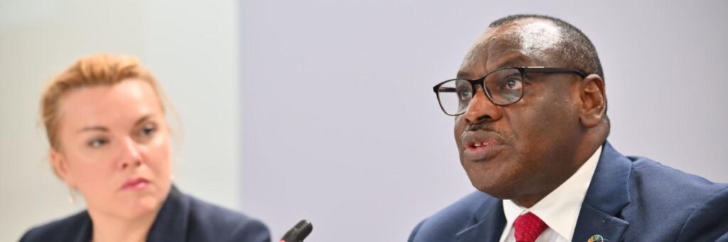 «Les financement innovants sont essentiels» en Afrique (CEA)