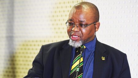 Ramaphosa nomme un ministre de la Police par intérim