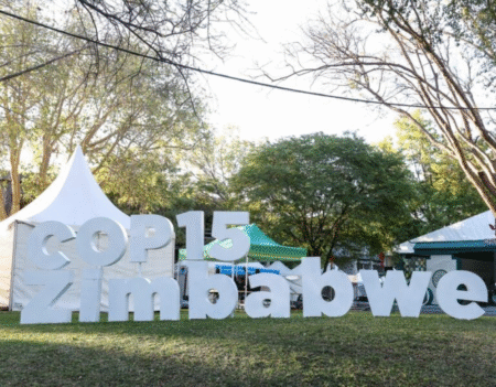Zimbabwe/COP15 : vers un Fonds pour restaurer les zones humides
