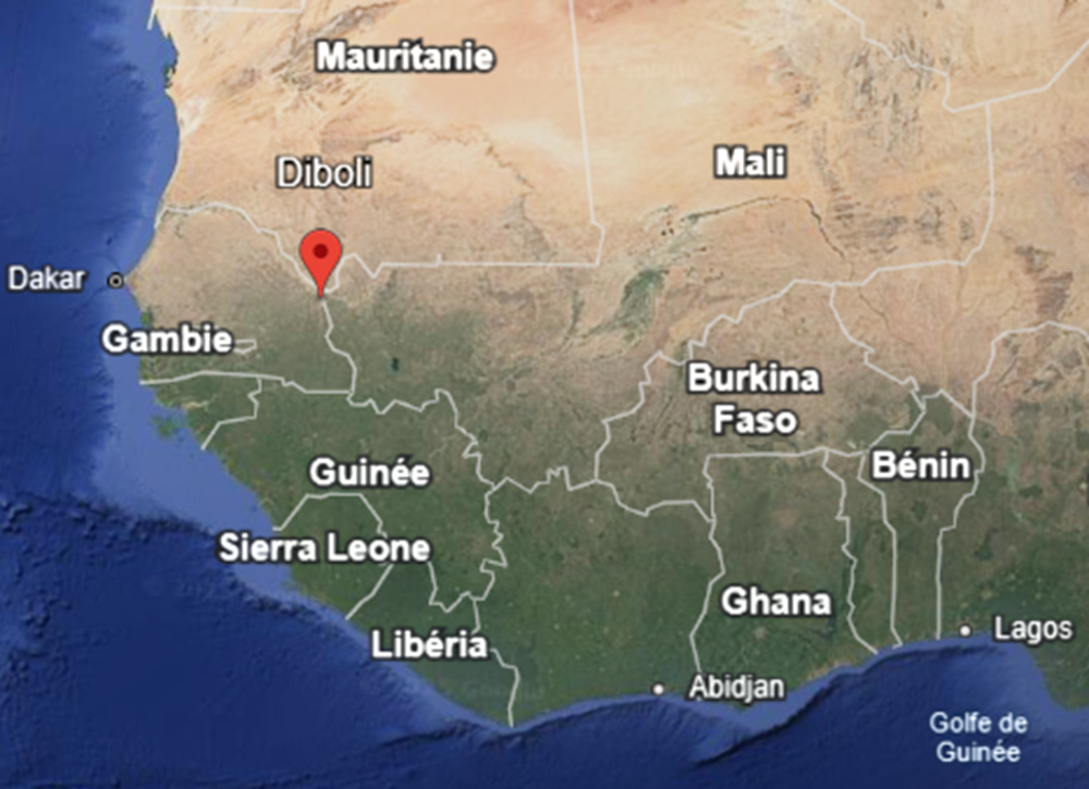 Mali: attaques coordonnées contre des positions FAMa dans l’ouest