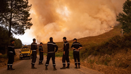 Risque d’incendies : Le nord du Maroc en alerte rouge