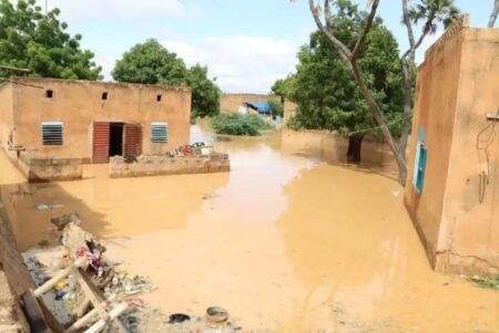 Niger : 47 morts et plus de 56 000 sinistrés dans les inondations