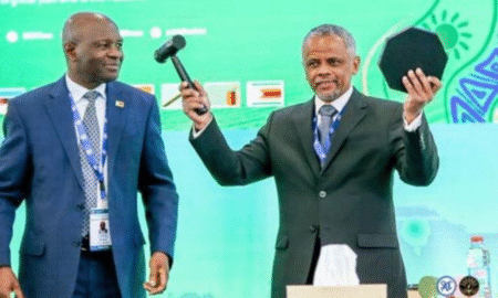 Madagascar à la tête du comité des responsables de la SADC