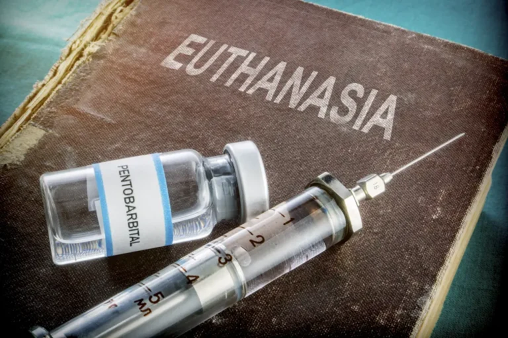 L’Ethiopie s’apprête à mettre en œuvre l’euthanasie