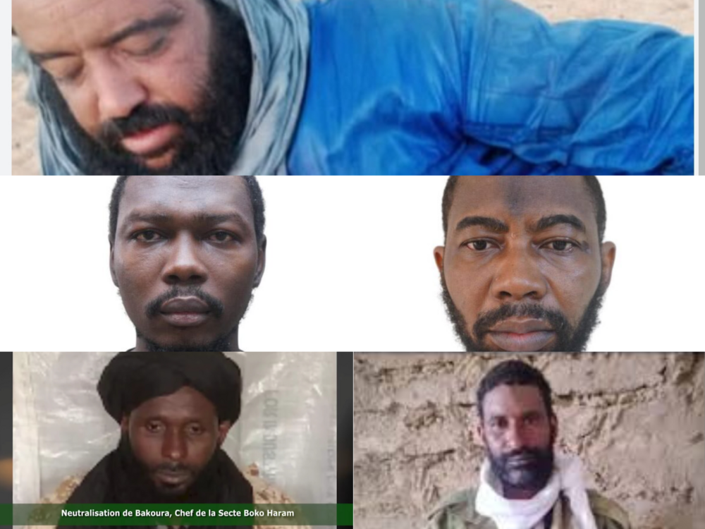 Niger, Nigéria, Mali : offensive régionale contre les chefs jihadistes