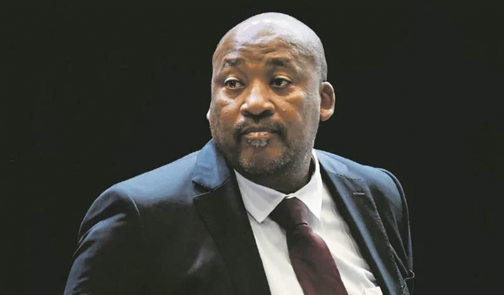 Afrique du Sud : un ministre sous enquête pour insulte raciale