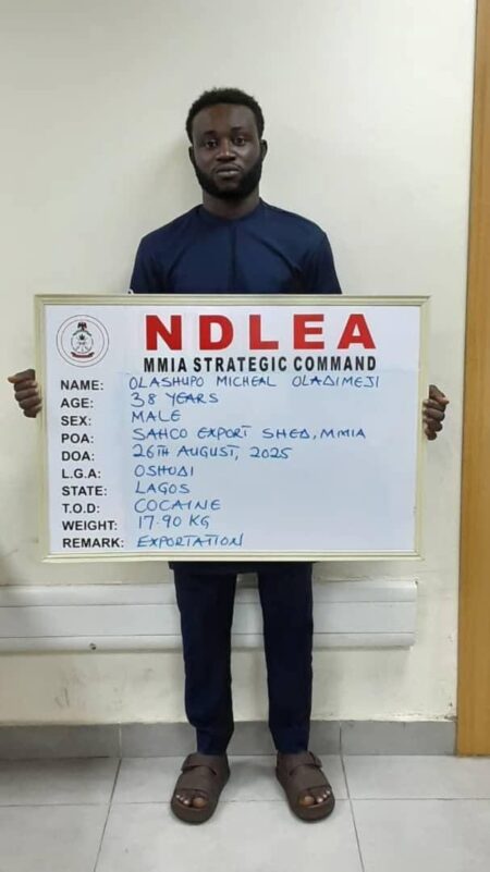 Nigéria : la NDLEA démantèle un vaste cartel de drogues