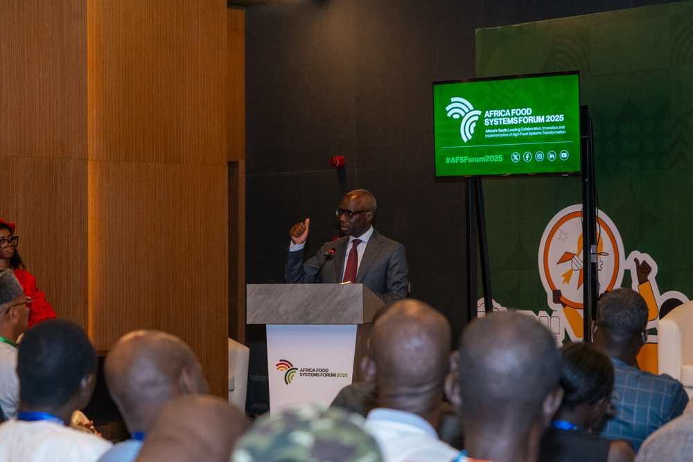 AFSF2025: plus de 11 Mrds CFA à l’économie sénégalaise (ministre)
