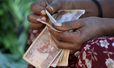 Ethiopie : une dette extérieure insoutenable (BM, FMI)