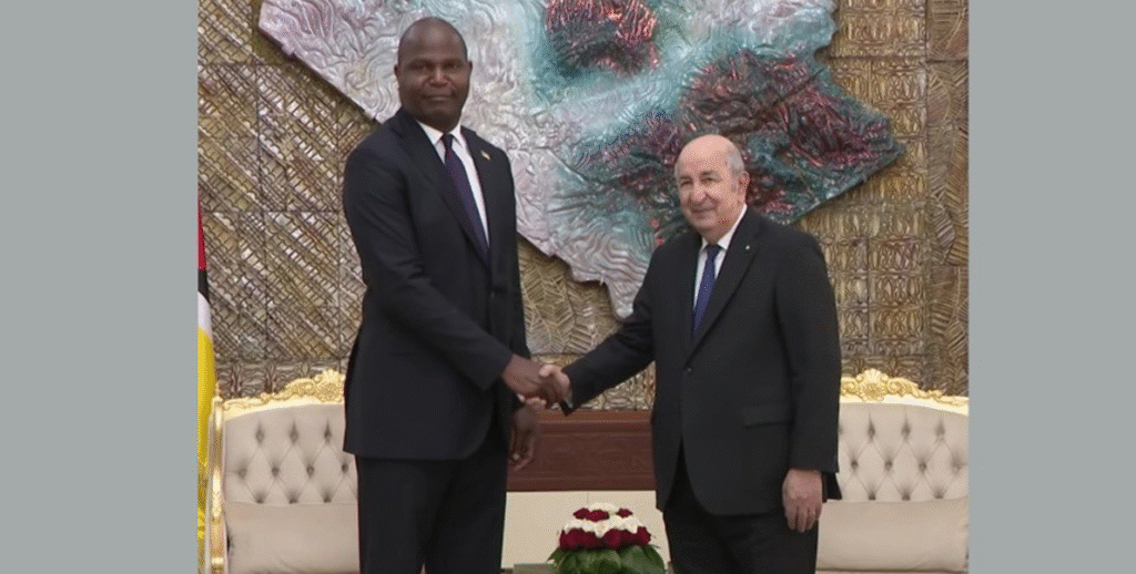 Le Sahara au centre de la coopération Algérie-Mozambique