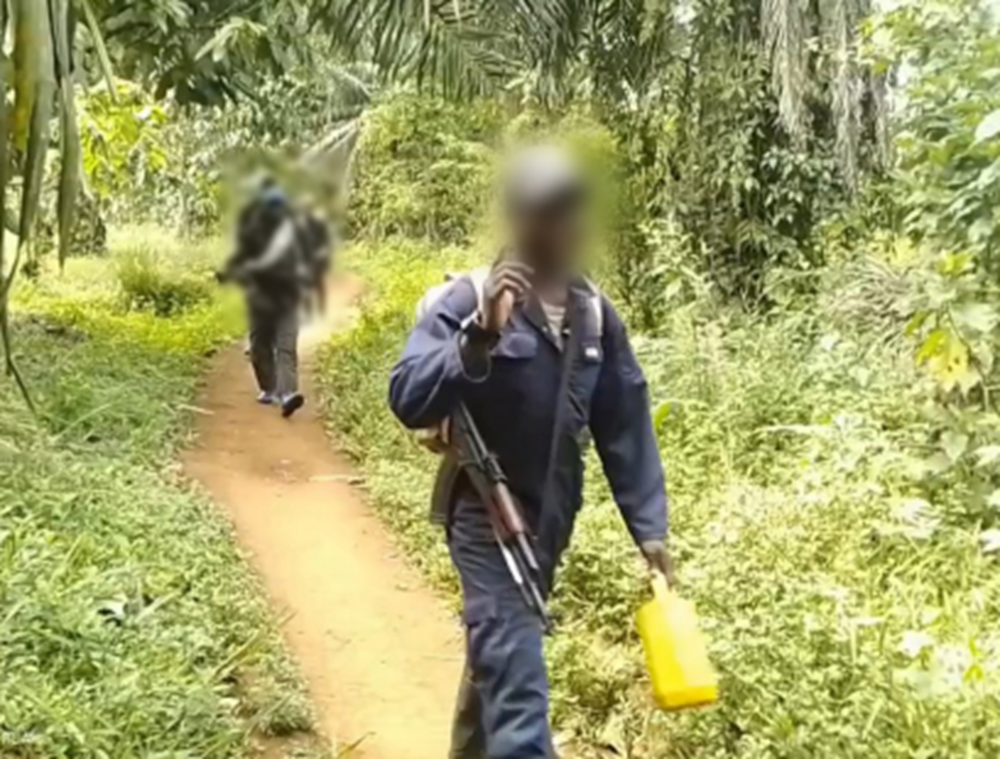 RDC : 89 morts dans de nouvelles attaques des ADF au Nord-Kivu