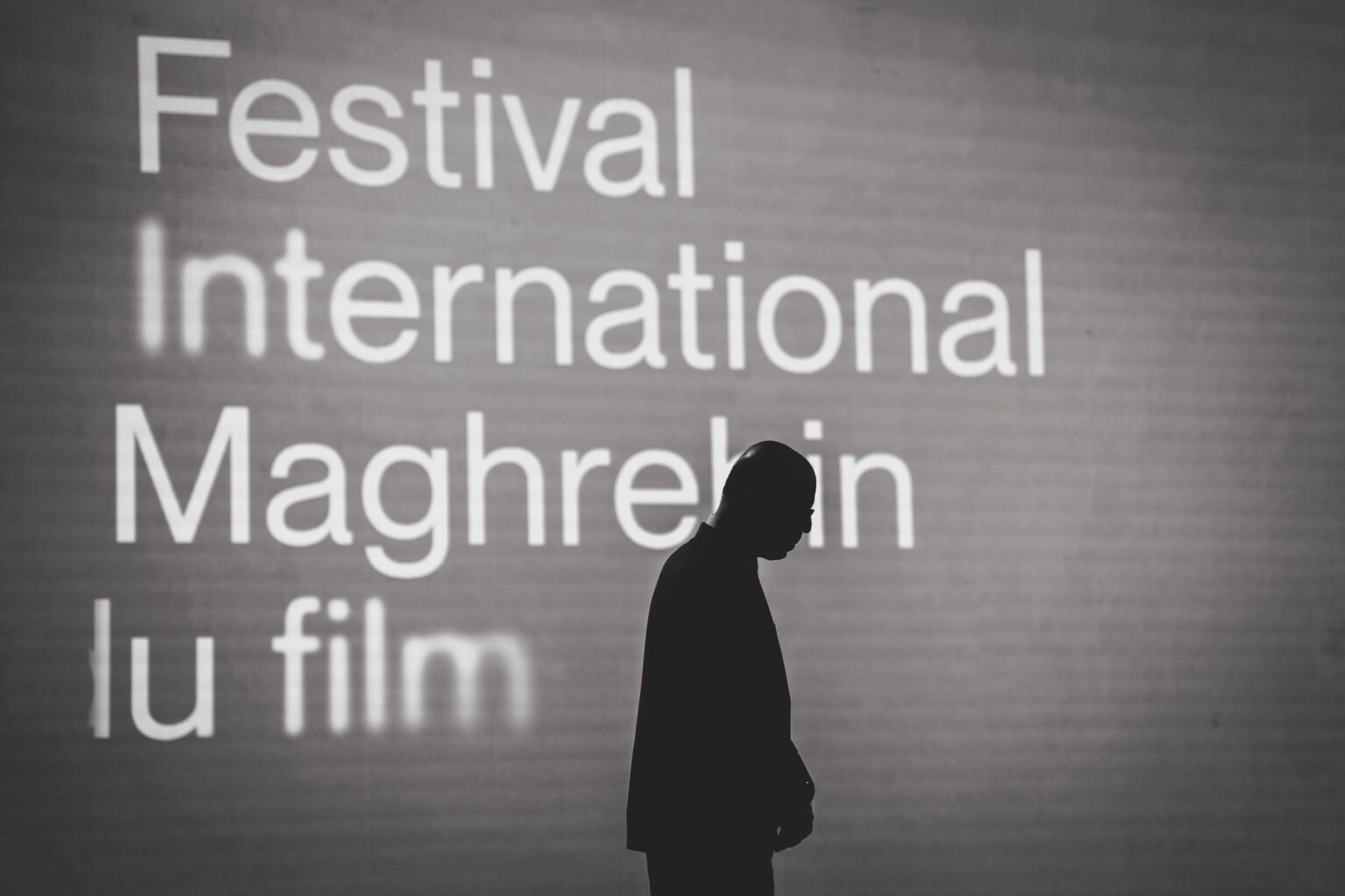 Maroc : remise des prix du Festival maghrébin du film