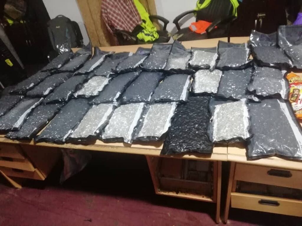 Gambie : un ressortissant britannique arrêté avec du skunk