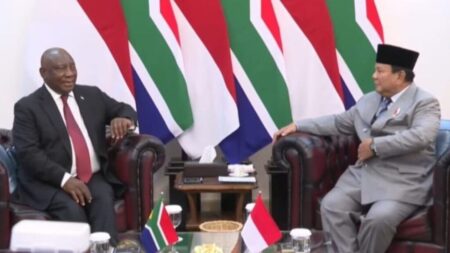 Ramaphosa veut renforcer la coopération avec l’Indonésie