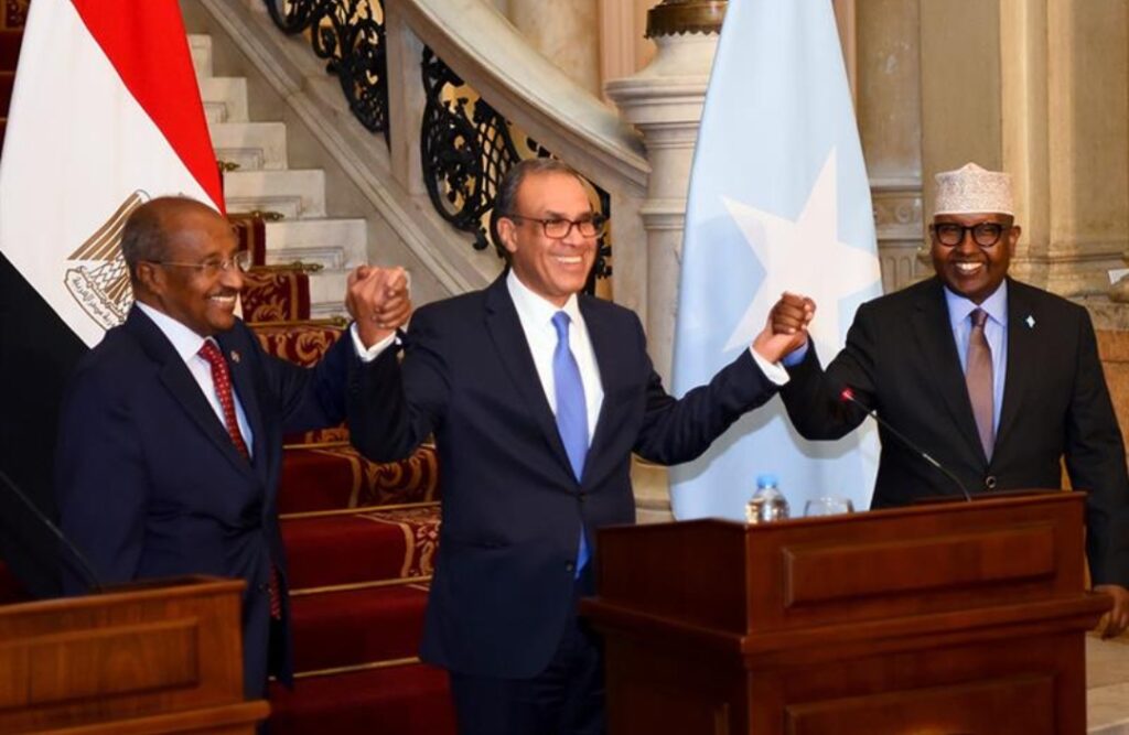 Égypte–Érythrée–Somalie : engagement pour la sécurité régionale
