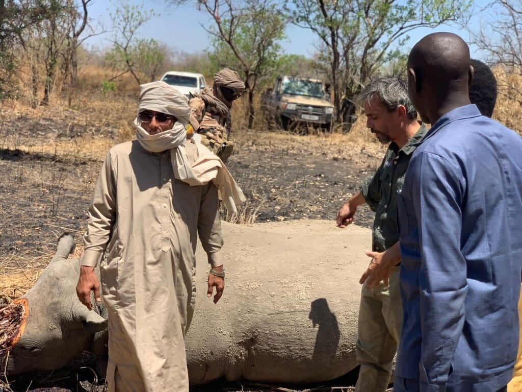 Le Tchad met fin à sa collaboration avec African Parks Network