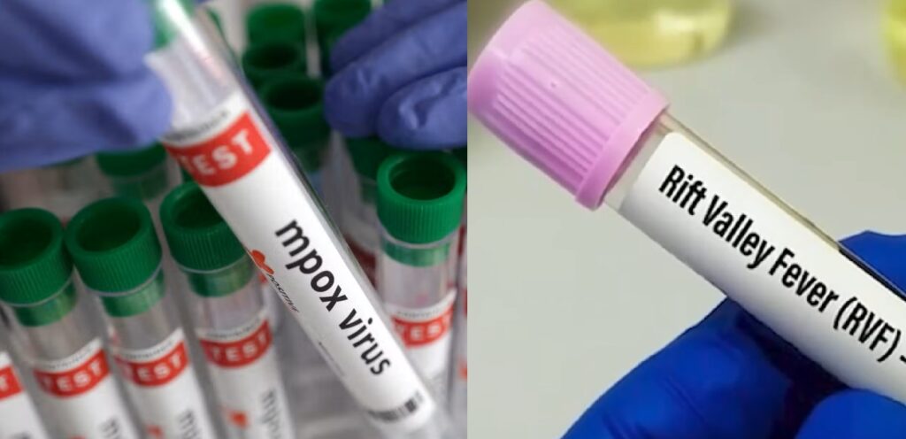 FVR et Mpox : le Sénégal face au défi de la sensibilisation