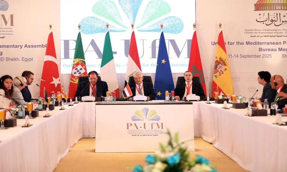 Egypte: Le Caire abrite le Forum économique de l’APM