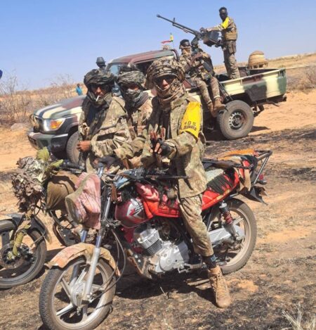 Mali: une attaque de l’État islamique repoussée à Labbezanga