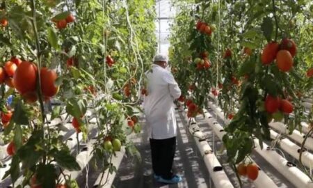 Tunisie : une croissance projetée à 3,3 % pour 2026