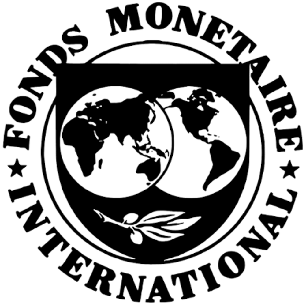 Le FMI relève ses prévisions économiques pour le Zimbabwe en 2025
