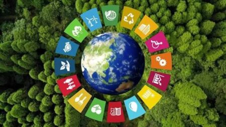 Sénégal : colloque sur l’innovation et le développement durable