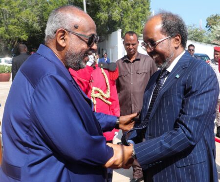 Djibouti-Somalie : entretiens sur la stabilité régionale