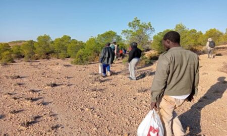 Tunisie : le traitement des migrants porté devant la CPI