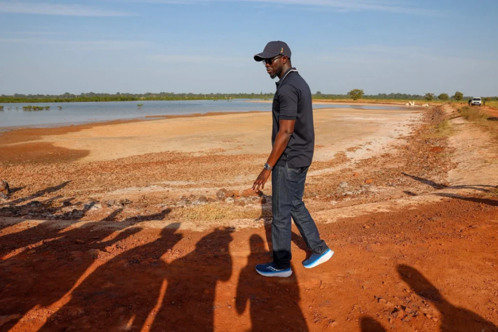 Sénégal : trois digues anti-sel protègent 1 000 ha au sud