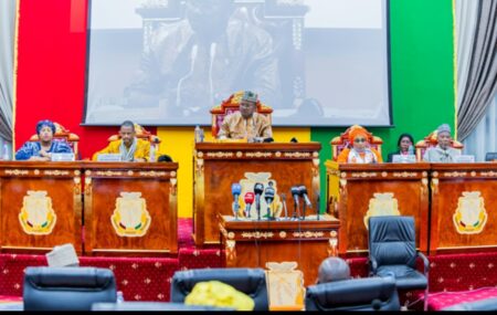 Guinée: le CNT adopte le règlement intérieur du futur Sénat