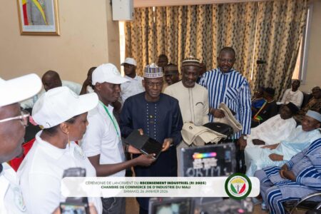 Mali : lancement d’un recensement industriel national