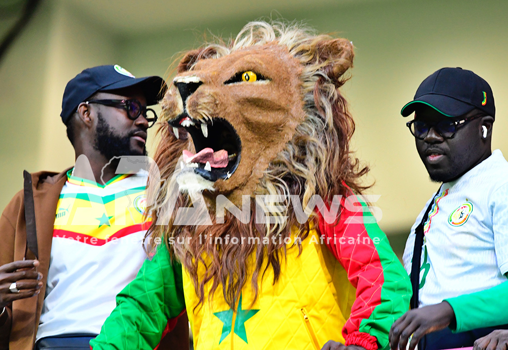 CAN 2025 : Plus d’un million de spectateurs, un record historique