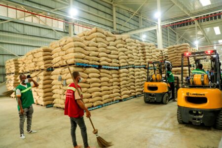 RCI/campagne intermédiaire : le Kg de cacao chute à 1200 F