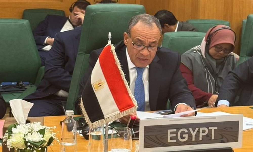 Somaliland : le Caire dénonce un « précédent dangereux »