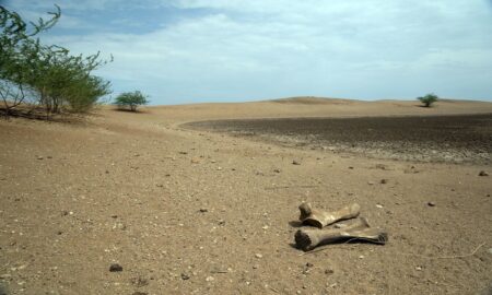 La planète en « faillite hydrique mondiale », alerte l’ONU