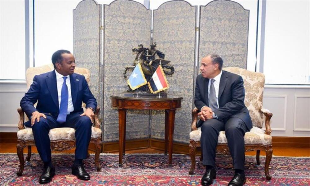 Égypte–Somalie : coordination face aux tensions régionales